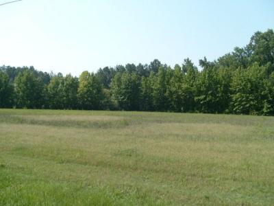 NICODEMUS MILE ROAD, Rocky Mount, Северная Каролина 27804, Соединенные Штаты