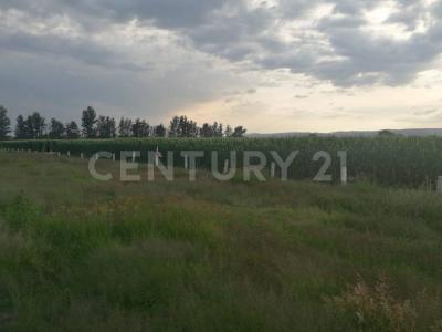 San Francisco De Los Romo, Aguascalientes 20300, Mexico