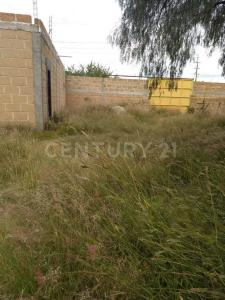 San José y San Remigio s/n,, Colon, 克雷塔罗 76289, 墨西哥