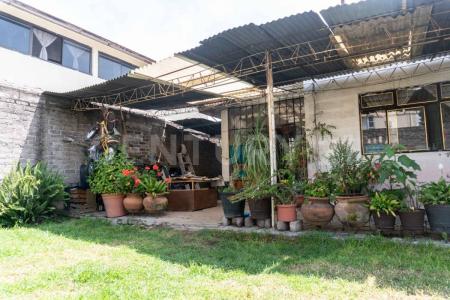 AZALEA ,, Xochimilco, Ciudad De México 16090, المكسيك