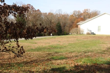 Lot 31 Luxor Landing Lane, Goreville, Illinois 62939, Estados Unidos