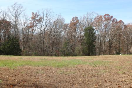 Lot 31 Luxor Landing Lane, Goreville, Illinois 62939, Estados Unidos