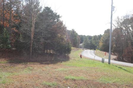 Lot 31 Luxor Landing Lane, Goreville, Illinois 62939, Estados Unidos