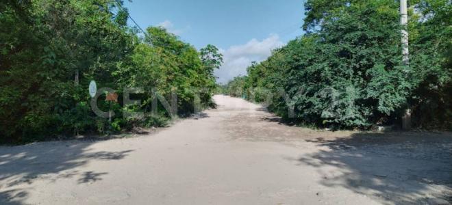 Manzana 96 Lote 2 R15,, Tulum, Quintana Roo 77760, Mexico