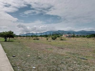 Avenida Bicentenario S/N, Juan Griego, Nueva Esparta 6320, Venezuela