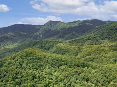 21 Long Winding Road Lots 4, 5, 7, 11, 12, 14, 15, Sylva, 北卡罗来纳州 28779, 美国