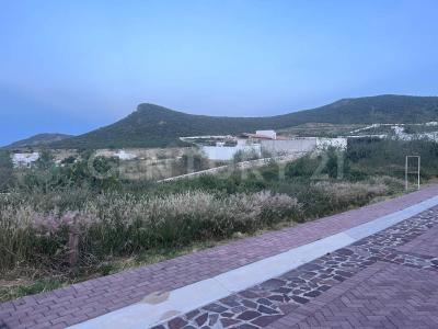 Ciudad Maderas la Montaña 26,, El Marqués, 克雷塔羅 76246, 墨西哥