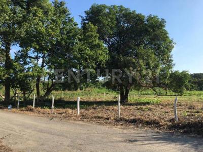 Cunduacan, Tabasco 86690, Meksyk