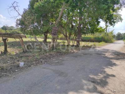 Cunduacan, טבסקו 86690, מקסיקו