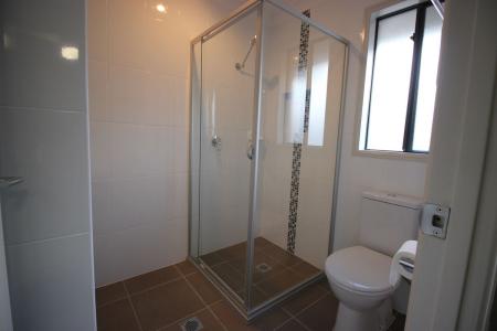 17 Medina Place, Cameron Park, NSW 2285, Austrália