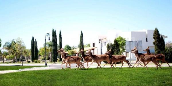 Privada Real San Pablo ,, Jesús Maria, Агуаскальентес 20900, Мексика