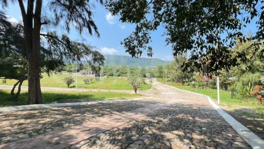 Camino a la Montaña Lote 108,, Chapala, ハリスコ 45900, メキシコ