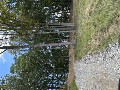 67 Bluestone Drive, East Bernstadt, 肯塔基州 40729, 美国