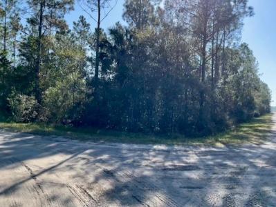 1371 Candleberry Street, Bunnell, Florida 32110, USA