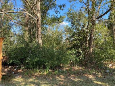 Oak Park Blvd., Lake Charles, 路易西安納州 70601, 美國