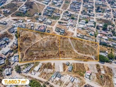 Club de Leones s/n,, Tijuana, Baja California 22645, Mexico