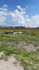 Benito Juárez s/n,, Metepec, Штат Мехико 52145, Мексика