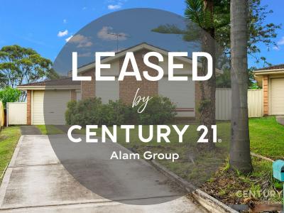 6 Morris Place, Ingleburn, NSW 2565, Australia