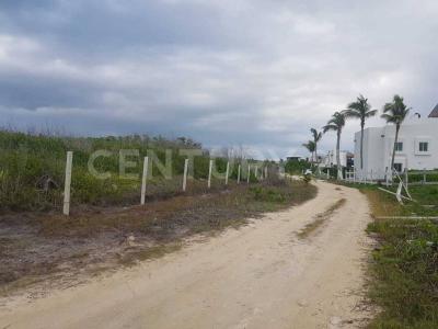 Puerto Morelos, Quintana Roo 77580, Mexico