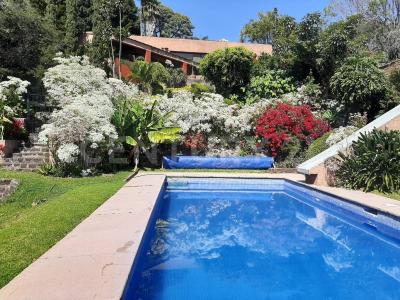 Cuernavaca, Morelos 62304, Mexico