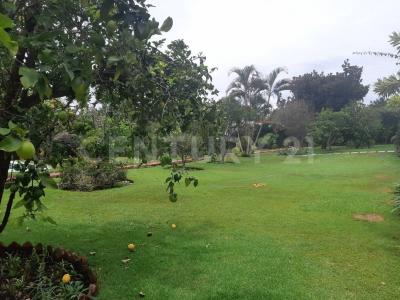 Cuernavaca, Morelos 62343, Meksyk