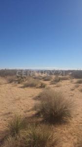Juárez, Chihuahua 32605, México