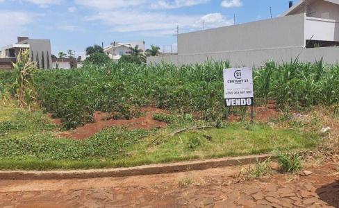 Lote 4, Manzana D, Barrio Dewes, Zona Urbana, Santa Rita , Santa Rita, Alto Paraná 7540, Le Paraguay