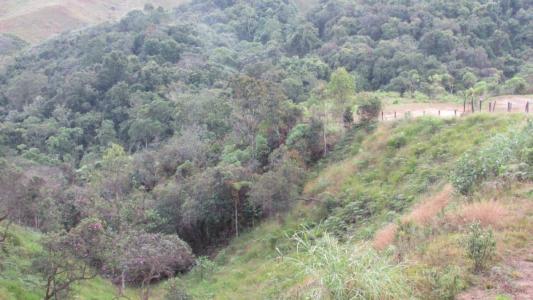 Marinilla, Antioquia 00001, Colombia