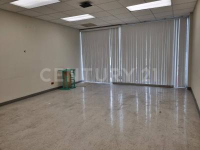 Guadalupe, Nuevo León 67140, México