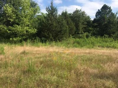 6350 Possum Hollow Road, Booneville, 阿肯色州 72927, 美国