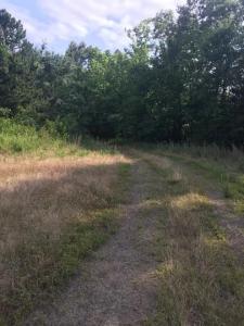 6350 Possum Hollow Road, Booneville, 阿肯色州 72927, 美国