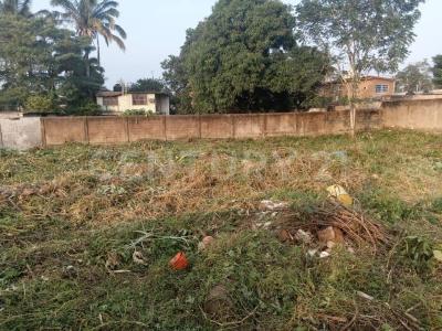 Minatitlan, ولاية فيراكروز 96770, المكسيك