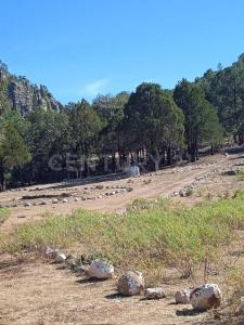 Arroyo Hondo s/n,, Carichi, Chihuahua 33280, Mexico