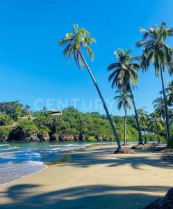 Los pelicanos Condominio Playa las tortugas 32- A,, Compostela, Nayarit 63715, Mexico