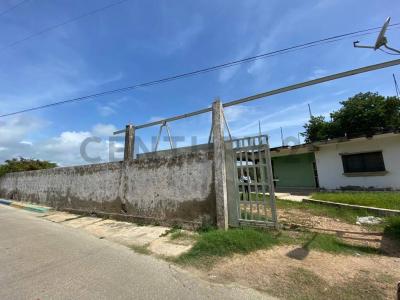 Chichiriviche, Falcón 2054, ベネズエラ