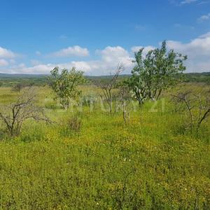 La hierba S/N,, Celaya, Guanajuato 38158, Mexico