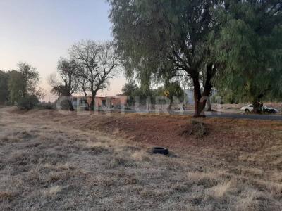 Tecolote ,, Papalotla, État De Mexico 56050, Mexique