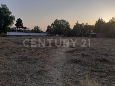 Tecolote ,, Papalotla, État De Mexico 56050, Mexique