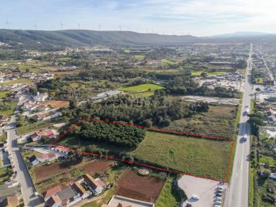 Alcobaça, Leiria 2460-100, Portugal