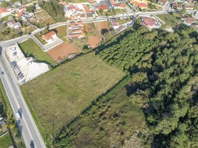Alcobaça, Leiria 2460-100, Portugal