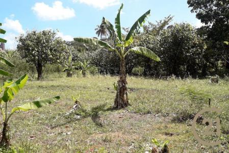Prime Town Land, Sauteurs, St.Patrick West Indies, Granada