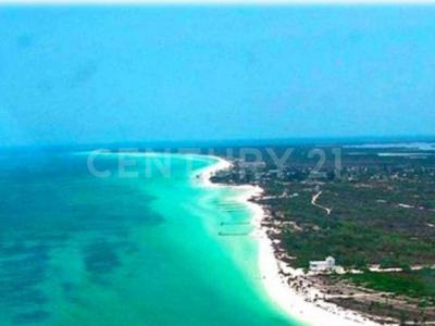 Lázaro Cárdenas, Quintana Roo 77320, Mexico