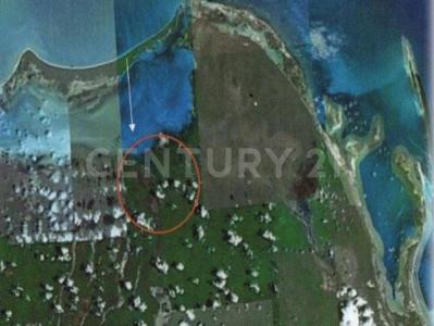 Lázaro Cárdenas, Quintana Roo 77320, Mexico