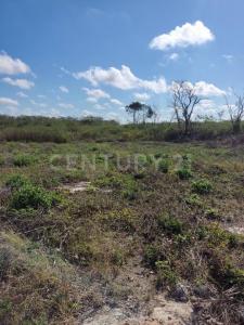 Tixpehual, Yucatan 97388, Mexico