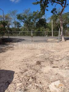 Tixpehual, Yucatan 97388, Mexico