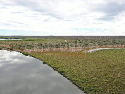 Navolato, Sinaloa 80363, Mexico