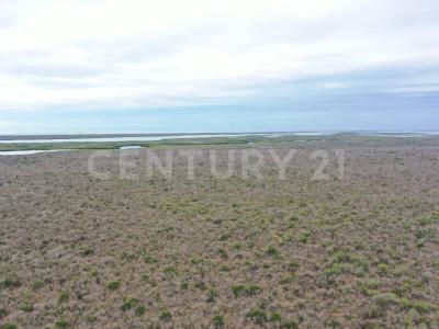 Navolato, Sinaloa 80363, Mexico