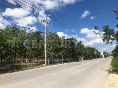 Av. Prolongación la Luna Smz 311,, Cancún/Benito Juárez, Quintana Roo 77533, Mexico