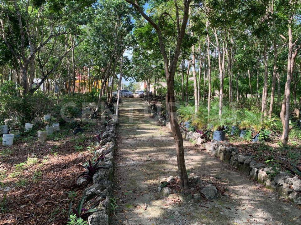 Land For Sale, Cancún/Benito Juárez Quintana Roo 77533 Mexico