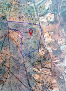 Santa Cruz, 馬德拉 9125-136, 葡萄牙